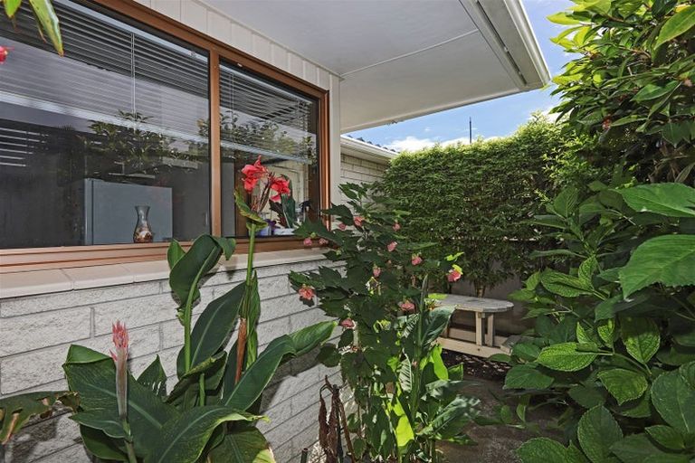 Photo of property in 702a Williams Street, Mahora, Hastings, 4120