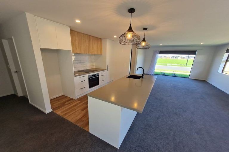 Photo of property in 55 Mcgrath Drive, Lincoln, 7608