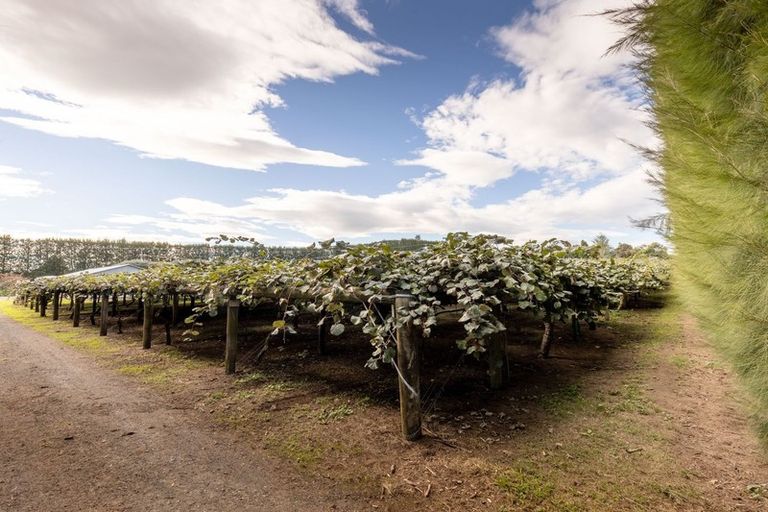 Photo of property in 39 Prole Road, Omokoroa, Tauranga, 3172