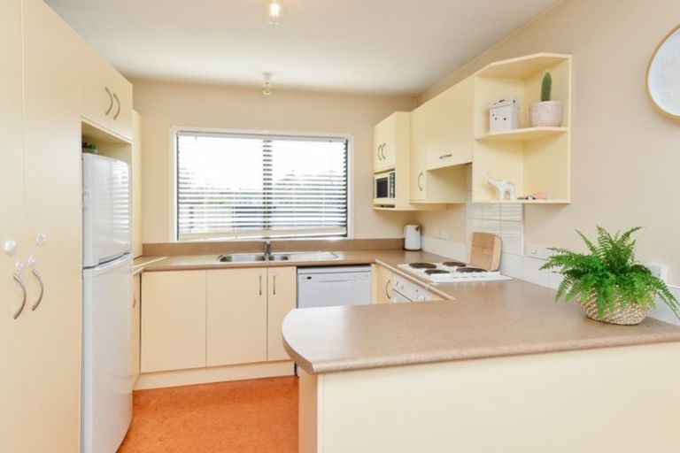 Photo of property in 54 Ross Crescent, Fairfield, Hamilton, 3214