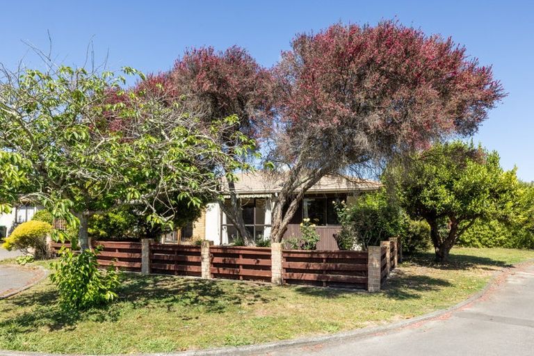 Photo of property in 1/2 Bill Ashcroft Grove, Havelock North, 4130