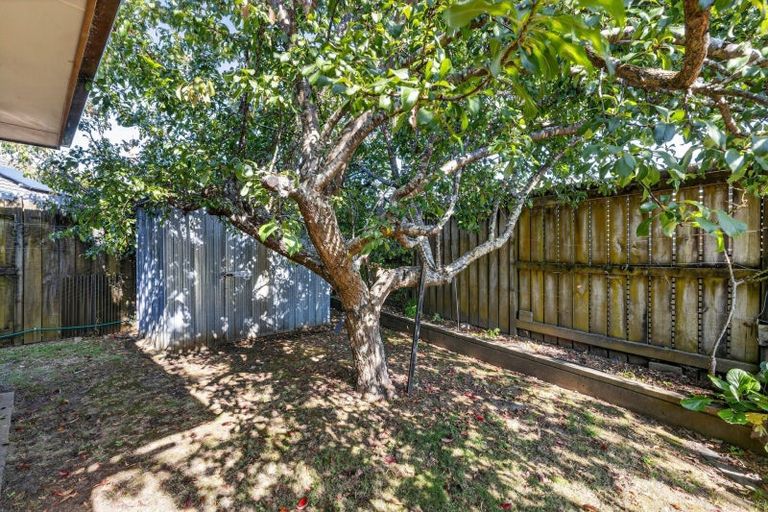 Photo of property in 4 Mcleod Place, Papamoa Beach, Papamoa, 3118