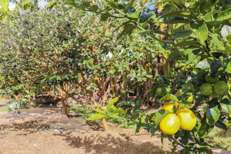 Photo of property in 115 Parnell Street, Rawene, Kaikohe, 0473