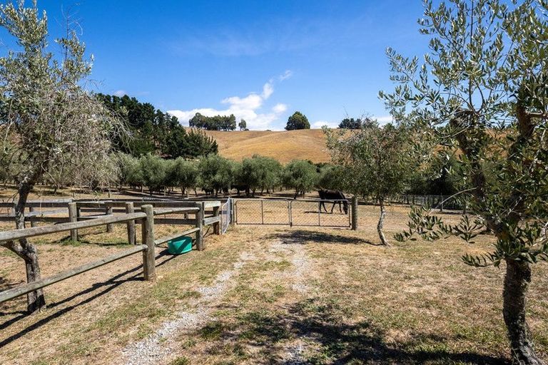 Photo of property in 136 Harley Road, Tasman, Upper Moutere, 7175