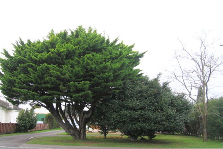 Photo of property in 10 Garnett Avenue, Forest Lake, Hamilton, 3200