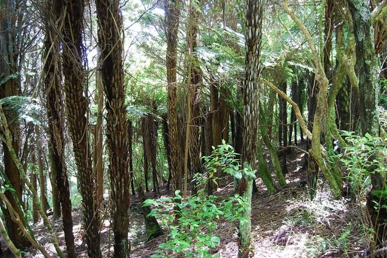 Photo of property in 50 Tawa Avenue, Kaiwaka, 0573