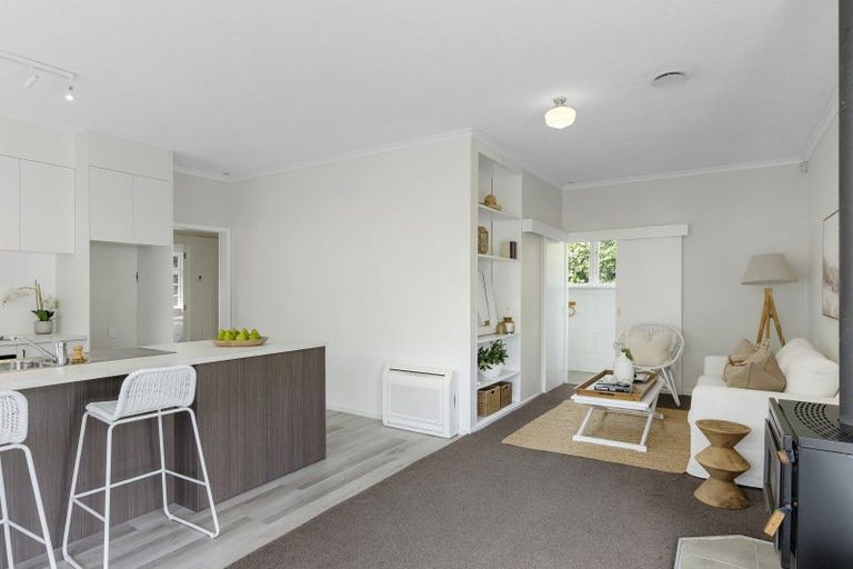 Photo of property in 103 Petrie Street, Richmond, Christchurch, 8013