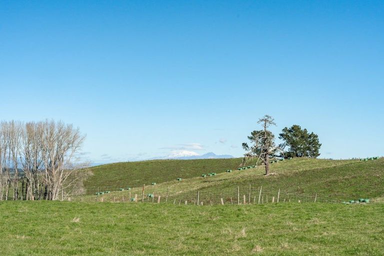 Photo of property in 317 State Highway 5, Wairakei, Taupo, 3384