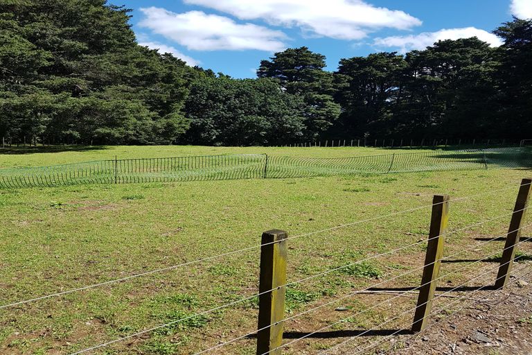 Photo of property in 288 Waiuku Road, Puni, Pukekohe, 2678