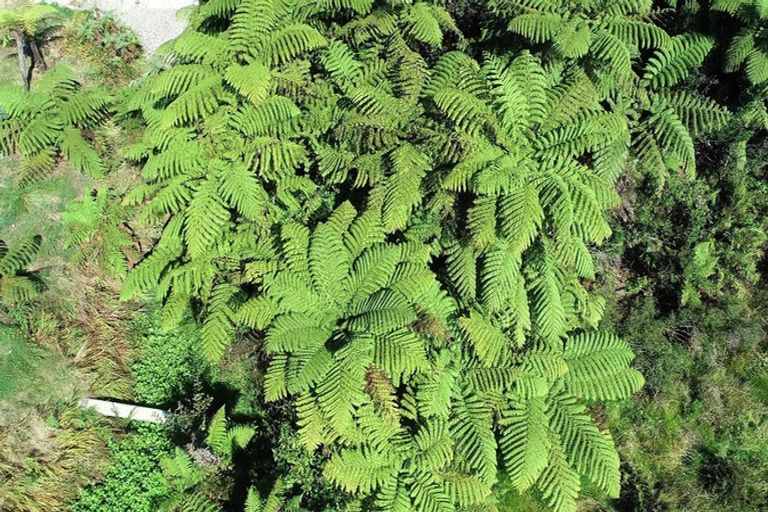 Photo of property in 9 Omau Road, Cape Foulwind, Westport, 7892