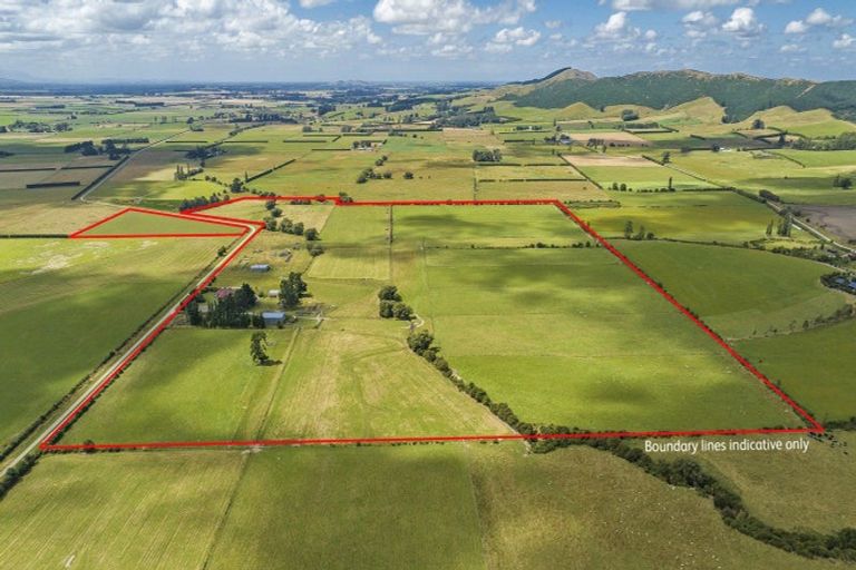 Photo of property in 353 Swamp Road, Springfield, Sheffield, 7580