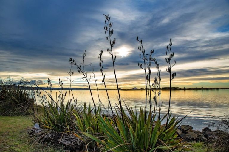 Photo of property in 132 Ohiwa Loop Road, Waiotahe, Opotiki, 3198