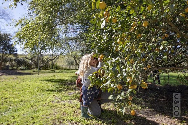 Photo of property in 30 Riverhead Road, Kumeu, 0810