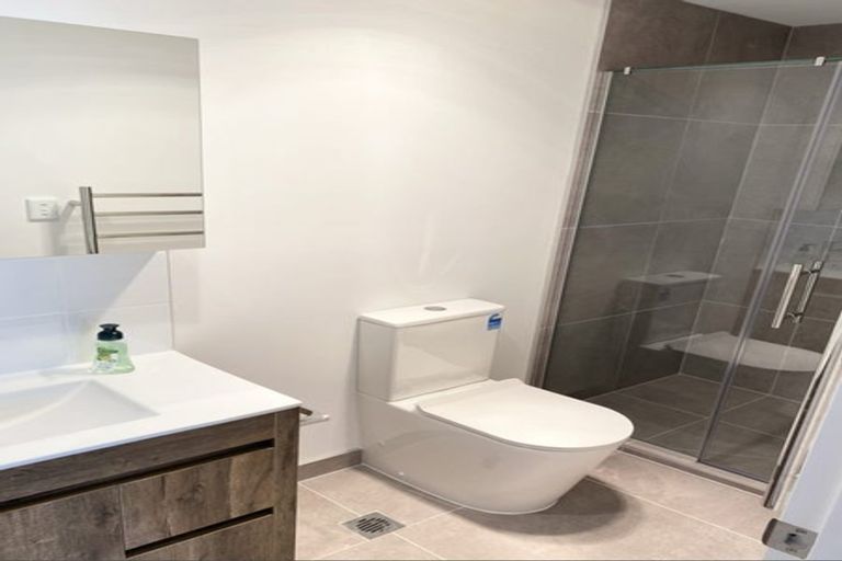 Photo of property in 29 Hiki Street, Hobsonville, Auckland, 0616