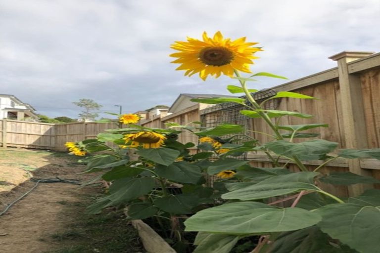 Photo of property in 26 Para Close, Fairview Heights, Auckland, 0632