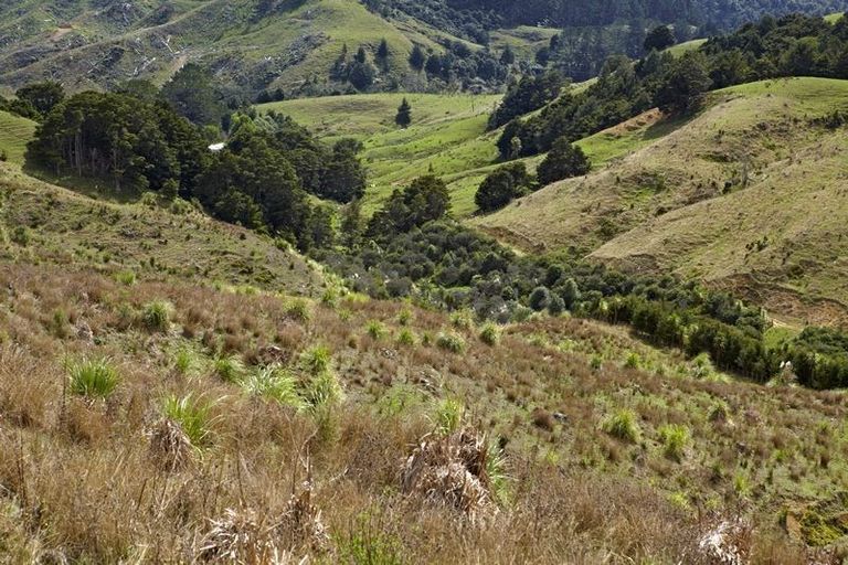 Photo of property in 47 Haul Road, Tahekeroa, Warkworth, 0873