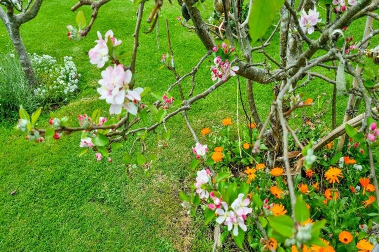 Photo of property in 209 Fenton Street, Thames, 3500