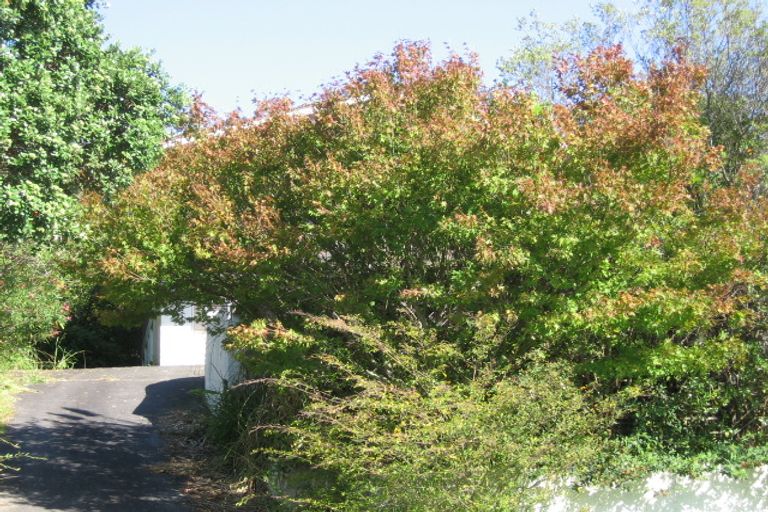 Photo of property in 28 Newhaven Terrace, Mairangi Bay, Auckland, 0630