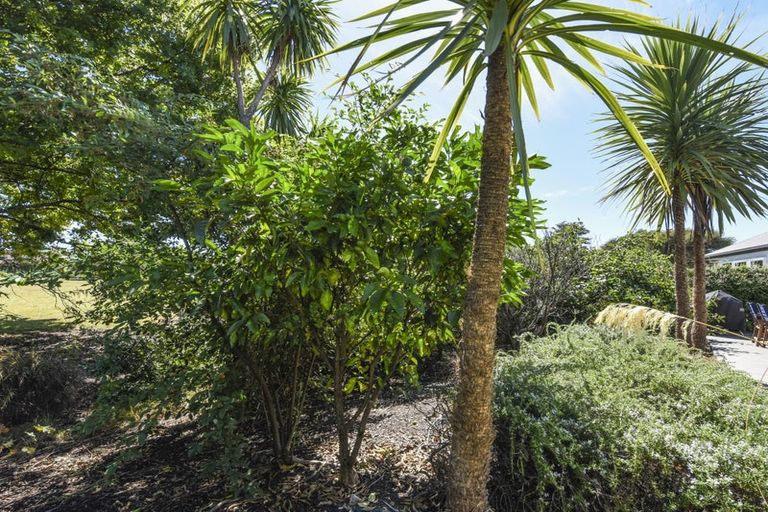 Photo of property in 8a Centennial Road, Tahunanui, Nelson, 7011