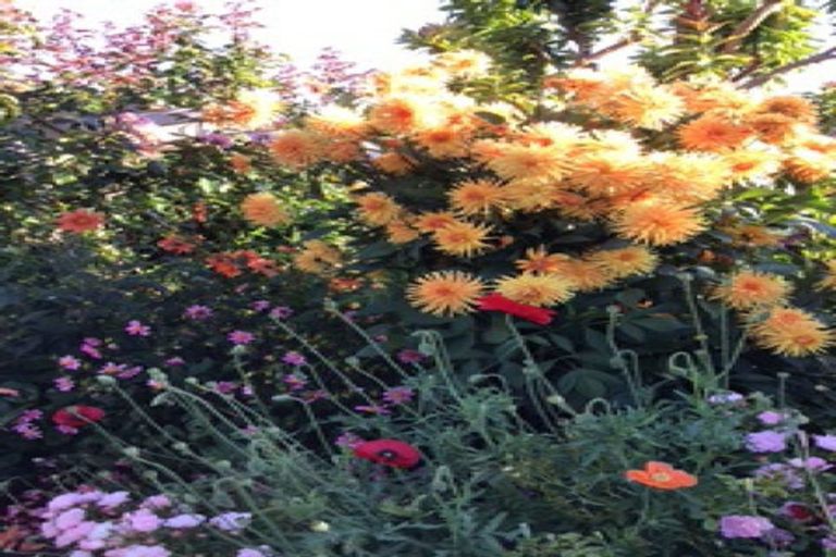 Photo of property in 63 Birch Street, Hilltop, Taupo, 3330