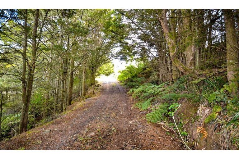 Photo of property in 72 Morris Lane, Kerikeri, 0294