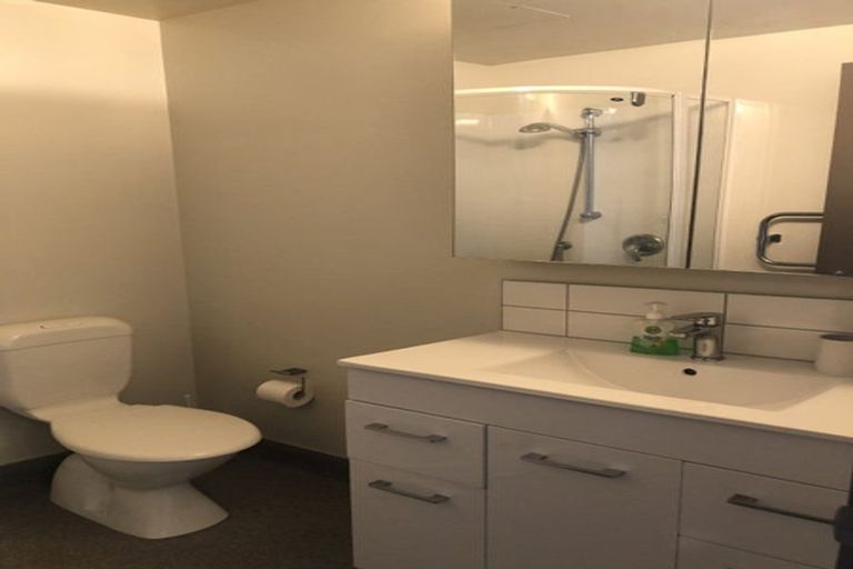 Photo of property in Dual Apartments, 301/142 Vivian Street, Te Aro, Wellington, 6011