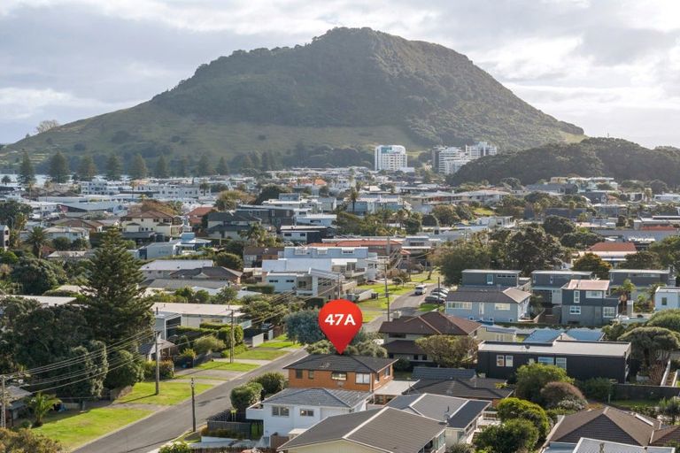 Photo of property in 47a Te Ngaio Road, Mount Maunganui, 3116