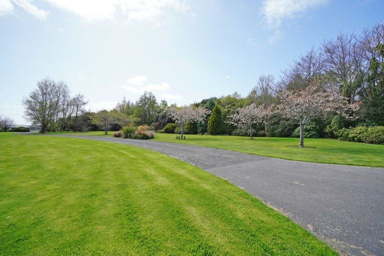 Photo of property in 420 Mcivor Road, Myross Bush, Invercargill, 9876