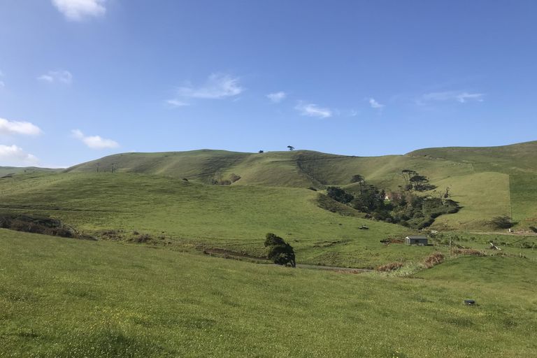 Photo of property in 1809 Whaanga Road, Raglan, 3296