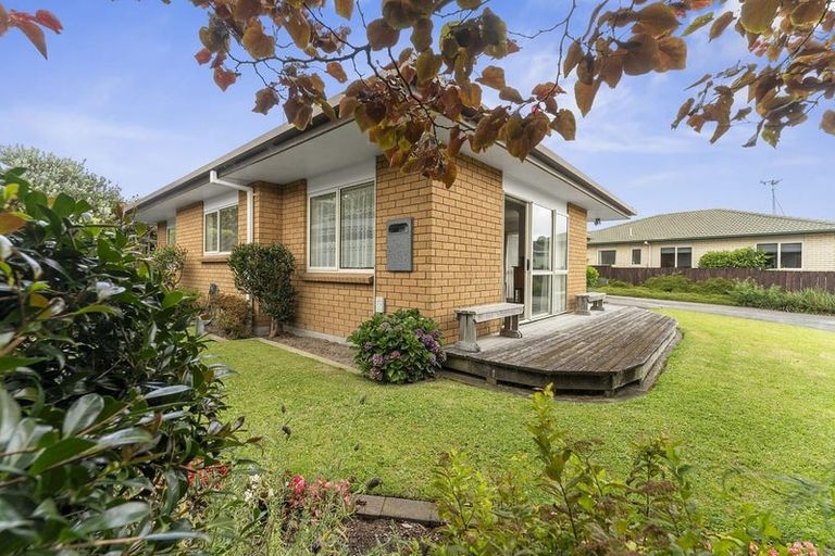 Photo of property in 48b Emmett Street, Greerton, Tauranga, 3112