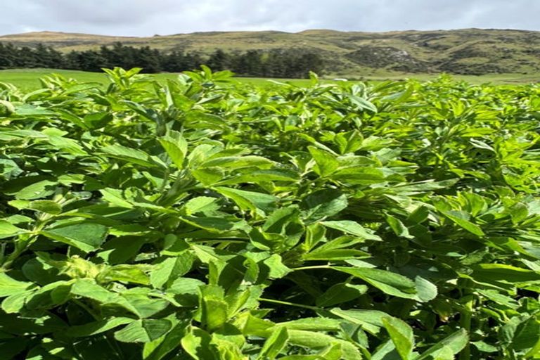 Photo of property in 537 Aubrey Road, Wanaka, 9305