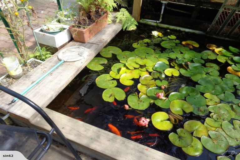 Photo of property in 461b Fergusson Drive, Trentham, Upper Hutt, 5018