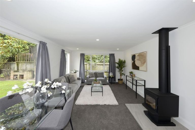 Photo of property in 17 Lionel Street, Avonside, Christchurch, 8061