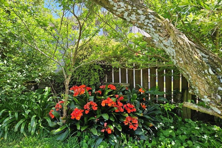 Photo of property in 13 Snell Crescent, Waihi Beach, 3611