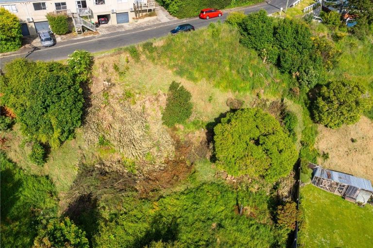 Photo of property in 16 Aitken Place, Mornington, Dunedin, 9011