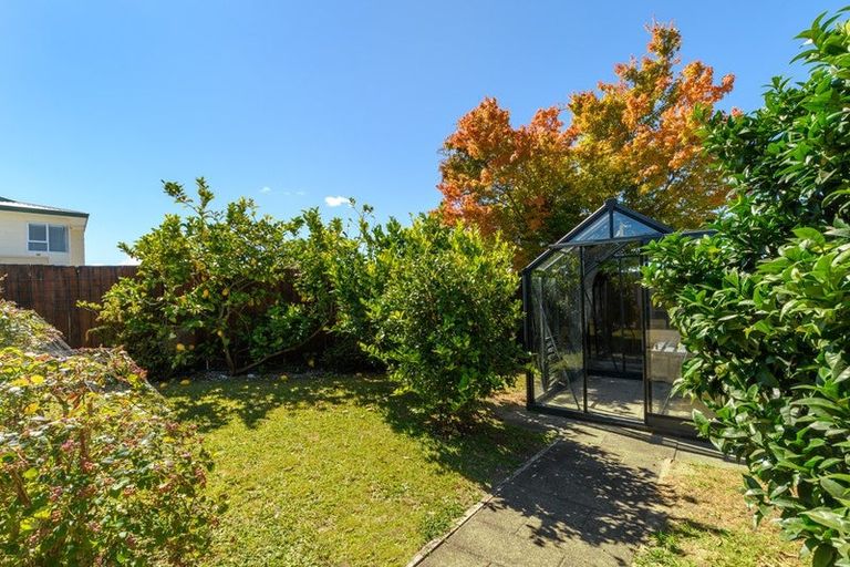 Photo of property in 17 Hairini Street, Hairini, Tauranga, 3112