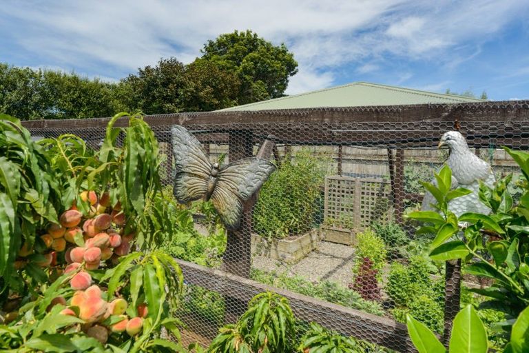 Photo of property in 317 Kimbolton Road, Feilding, 4702