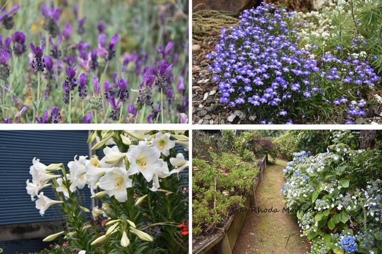 Photo of property in 16 Mariner Cove Road, Tinopai, Matakohe, 0593