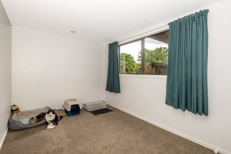 Photo of property in 534 Gladstone Road, Te Hapara, Gisborne, 4010