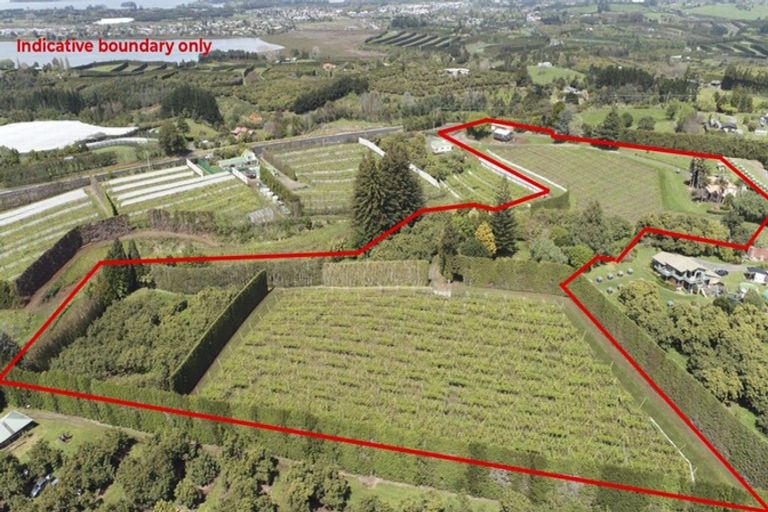 Photo of property in 6a Woodland Road, Tahawai, Katikati, 3170