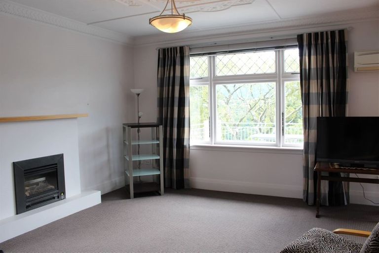 Photo of property in 113 Signal Hill Road, Opoho, Dunedin, 9010