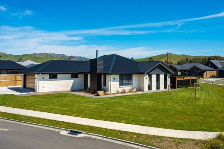 Photo of property in 2 Solomon Place, Witherlea, Blenheim, 7201