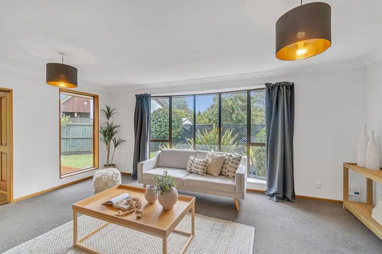 Photo of property in 12 Esher Place, Saint Martins, Christchurch, 8022