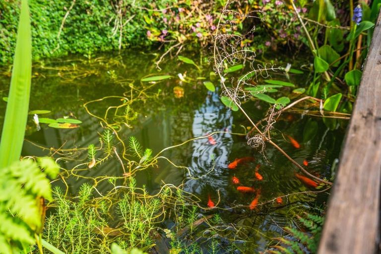 Photo of property in 24 Waitaua Road, Kauri, Kamo, 0185