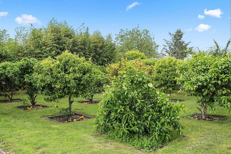 Photo of property in 10/46 Peachgrove Road, Hamilton East, Hamilton, 3216