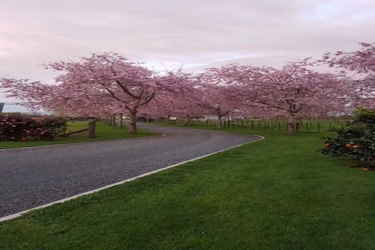 Photo of property in 369b Marshmeadow Road, Newstead, Hamilton, 3286