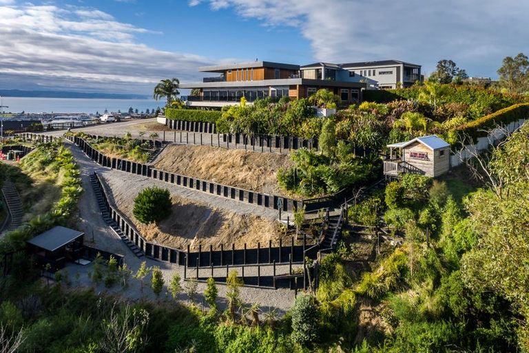 Photo of property in 31 Hospital Terrace, Hospital Hill, Napier, 4110