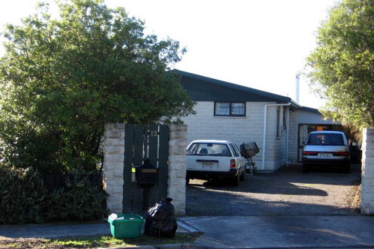 Photo of property in 12 Nash Place, Masterton, 5810