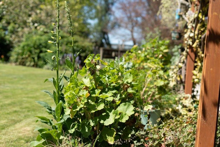 Photo of property in 157 Perrys Road, East Taratahi, Masterton, 5887