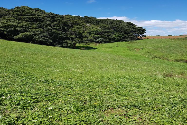 Photo of property in 288 Waiuku Road, Puni, Pukekohe, 2678